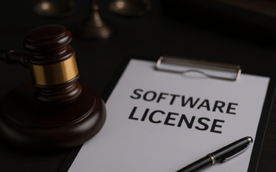Licenza software a scopo professionale o di riutilizzo commerciale: quali sono le clausole fondamentali?